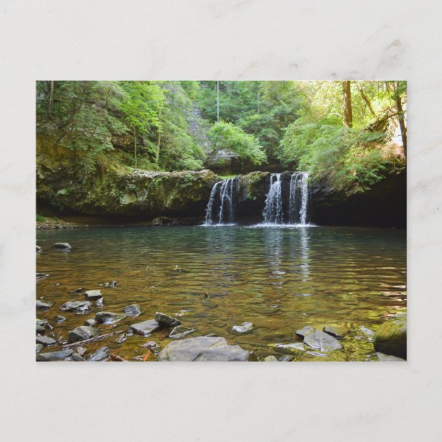 Fiery Gizzard Trail Tennessee Postcard (Front)