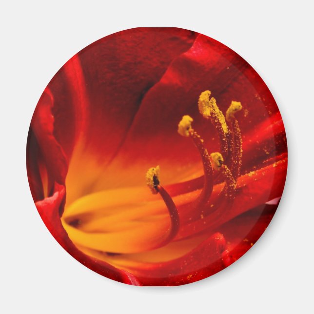 Fiery Lily Magnet (Front)