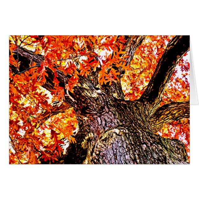 Fiery Oak (Front Horizontal)