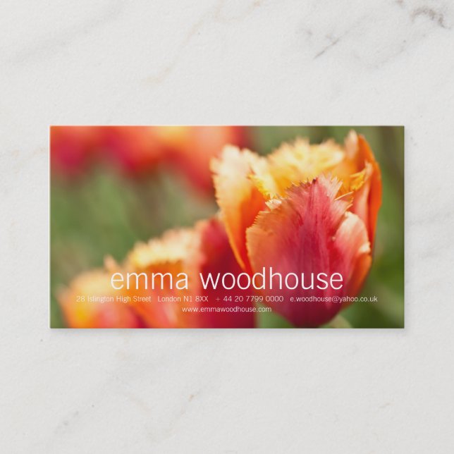 Fiery Orange Fringed Tulip Business Card (Front)