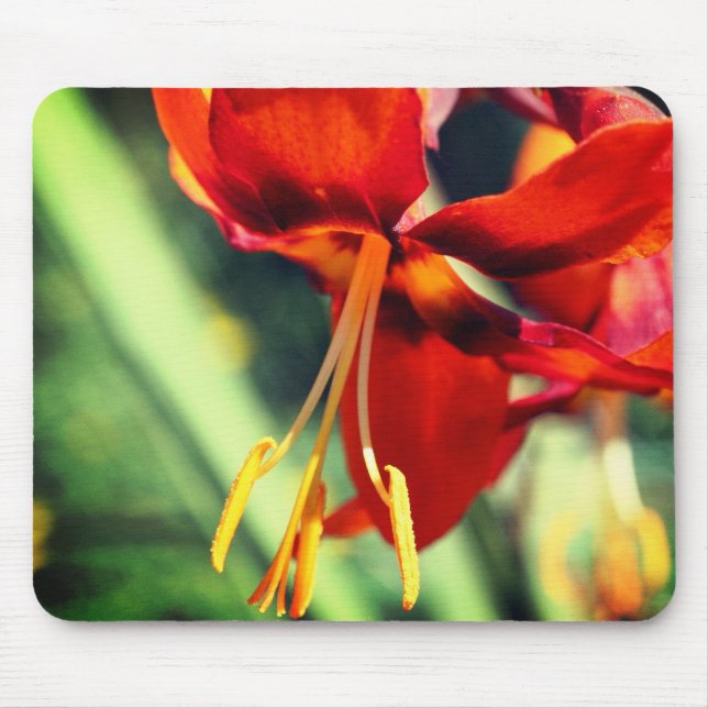 Fiery Orange Lily Flower  Mouse Pad (Front)