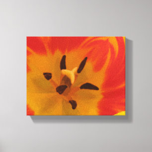 Fiery Tulip Canvas Print
