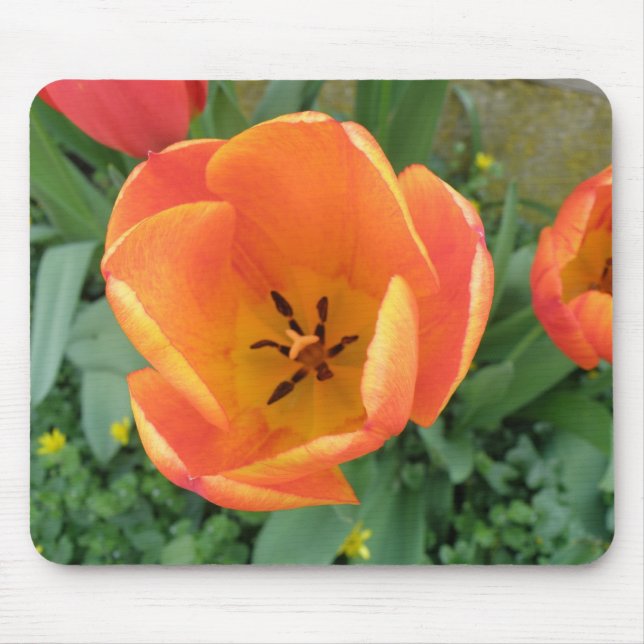 Fiery Tulip Mousemat Mouse Pad (Front)