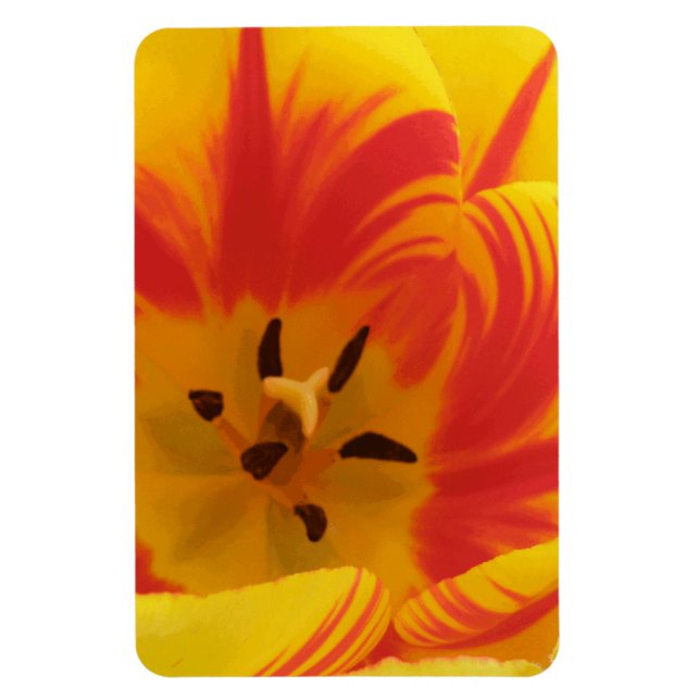 Fiery Tulip Premium Magnet (Vertical)