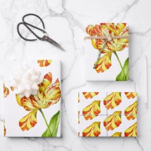 Fiery Tulips on a Wrapping Paper Set 