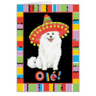 Fiesta American Eskimo Chien