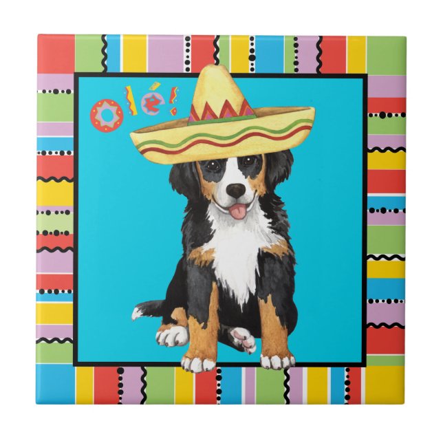 Fiesta Berner Tile (Front)