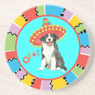 Fiesta Border Colllie Coaster