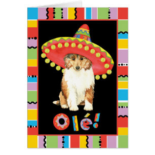 Fiesta Collie Greeting Card