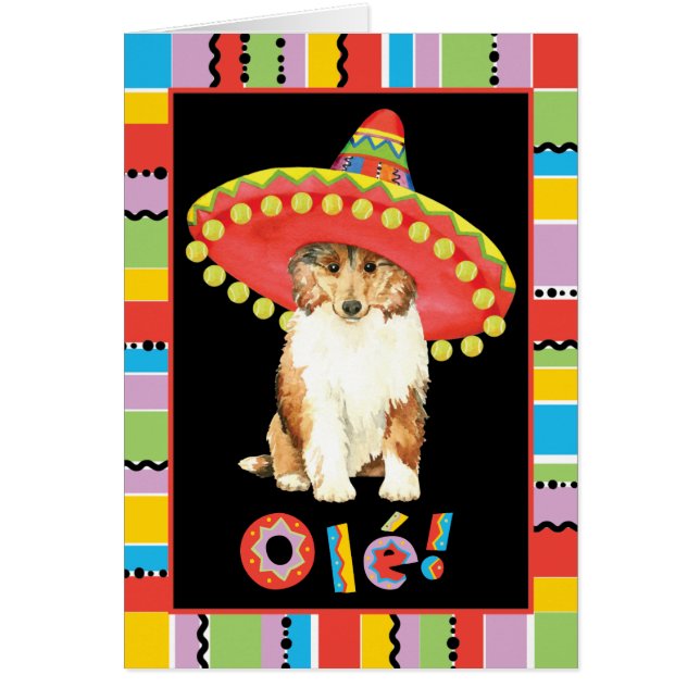 Fiesta Collie Greeting Card (Front)