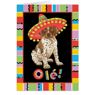 Fiesta German Shorthaired Pointer Card
