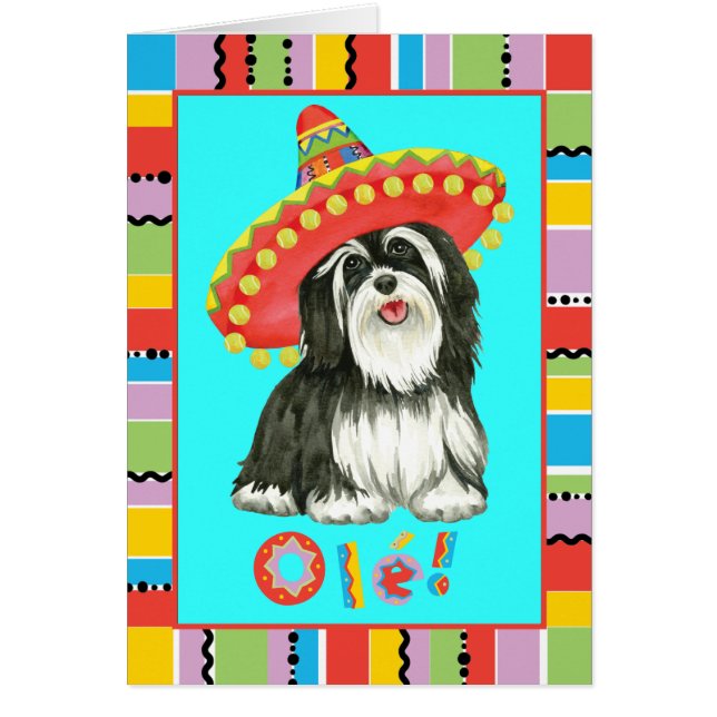 Fiesta Havanese Greeting Card (Front)