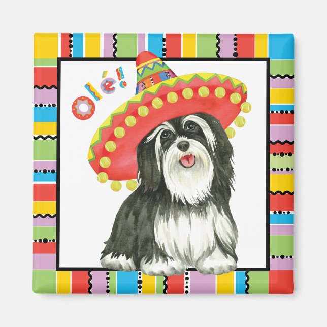 Fiesta Havanese Magnet (Front)