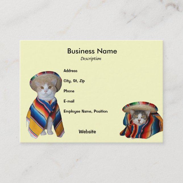 Fiesta/Mexican/Hispanic Theme Business Card (Front)