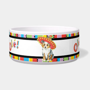 Fiesta Miniature American Shepherd