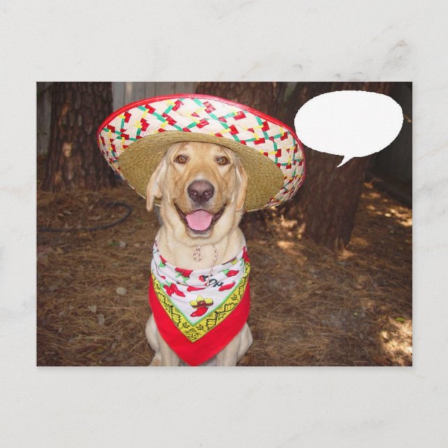 Fiesta Moses Postcard (Front)
