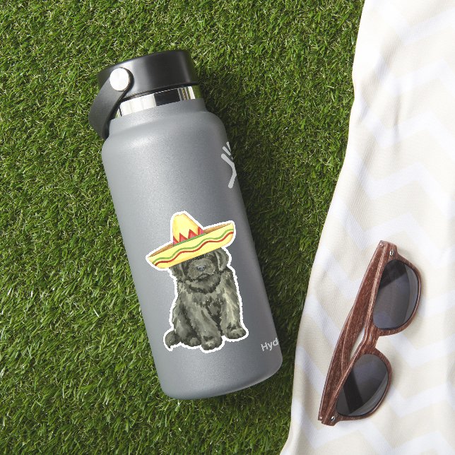 Fiesta Newfoundland Vinyl Sticker (HydroFlask Insitu)