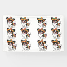 Fiesta Papillon Dog Wearing Sombrero and Sarape