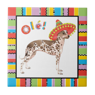 Fiesta Peruvian Inca Orchid Tile