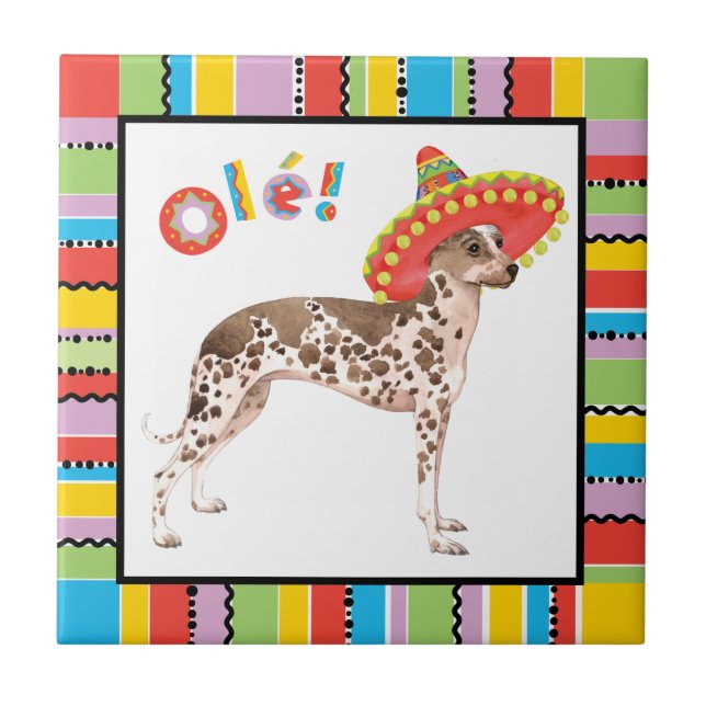 Fiesta Peruvian Inca Orchid Tile (Front)