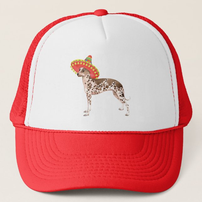 Fiesta Peruvian Inca Orchid Trucker Hat (Front)