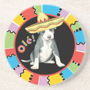 Fiesta Pit Bull Terrier Coaster