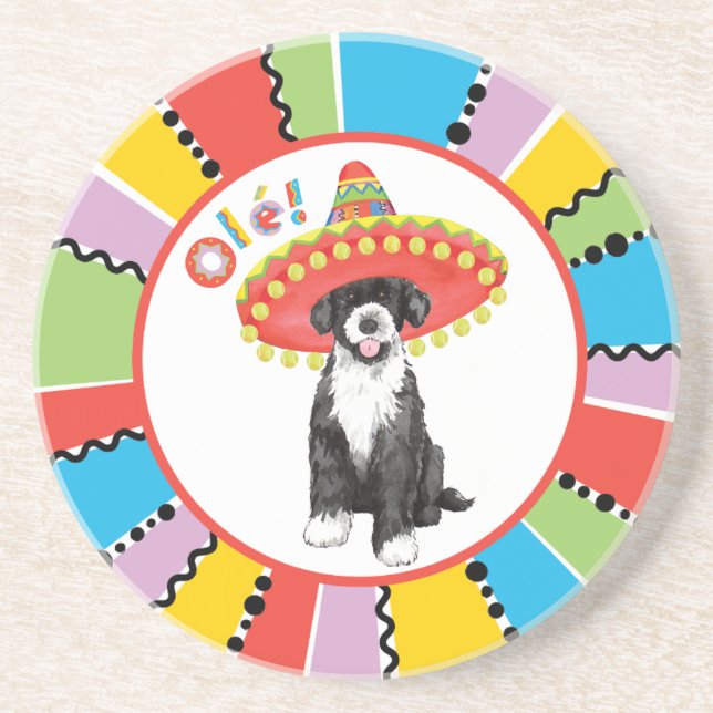 Fiesta PWD Coaster (Front)