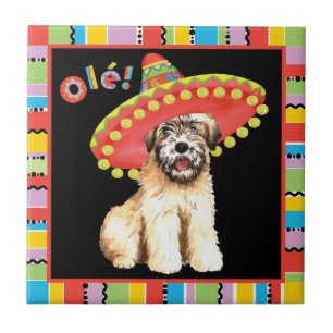 Fiesta Wheaten Tile