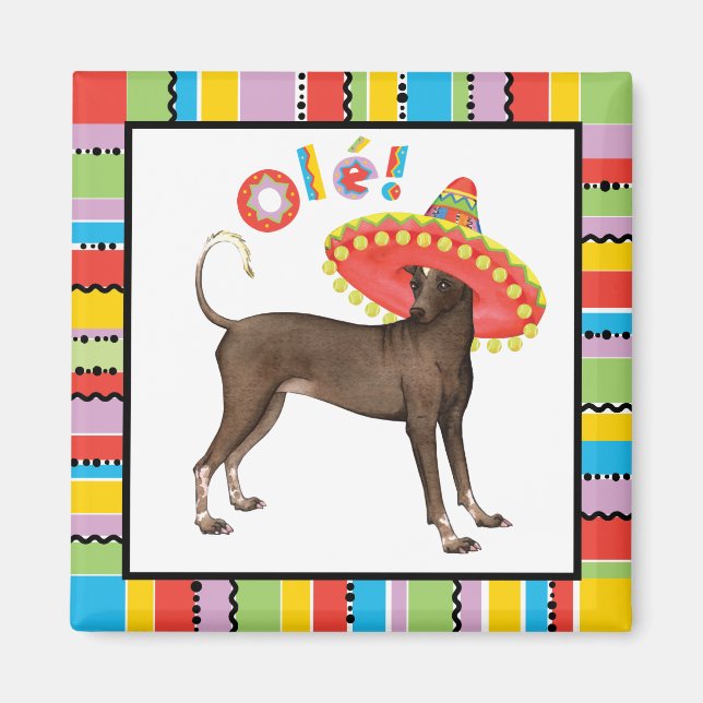 Fiesta Xolo Magnet (Front)