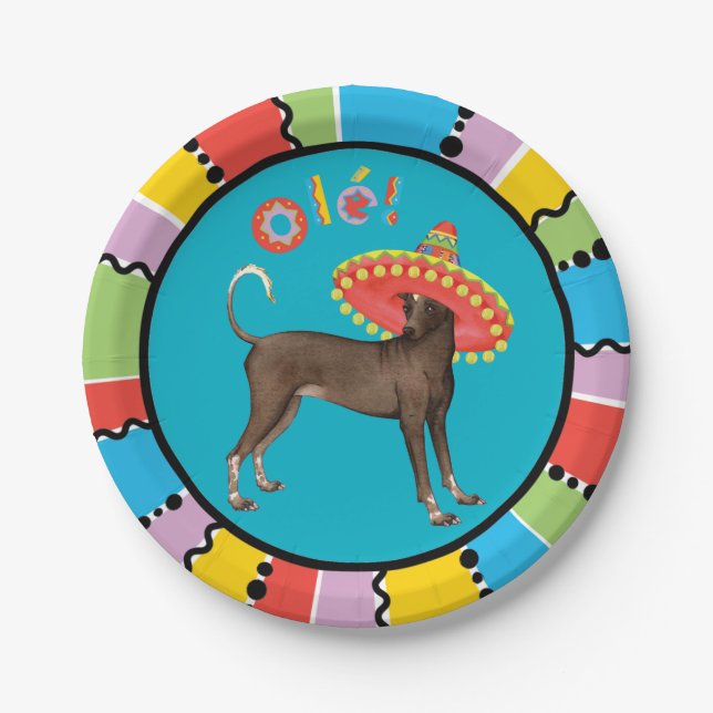Fiesta Xolo Paper Plate (Front)