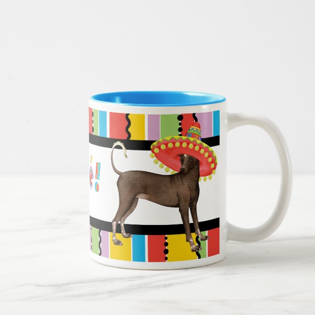 Fiesta Xolo Two-Tone Coffee Mug (Right)