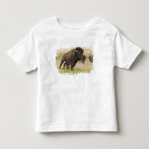 Fiesty young bison bull at the Tallgrass Toddler T-shirt