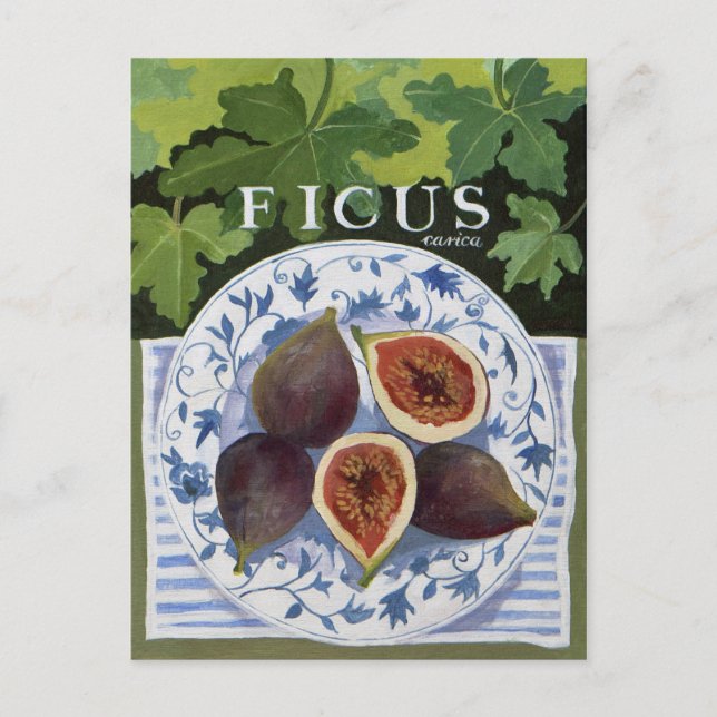 Fieus Postcard (Front)