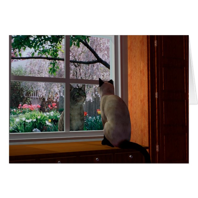 Fièvre du printemps (Devant Horizontal)