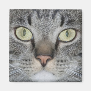 Fifel Magnet