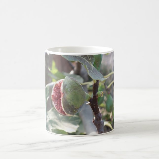 Fig Coffee Mug (Center)