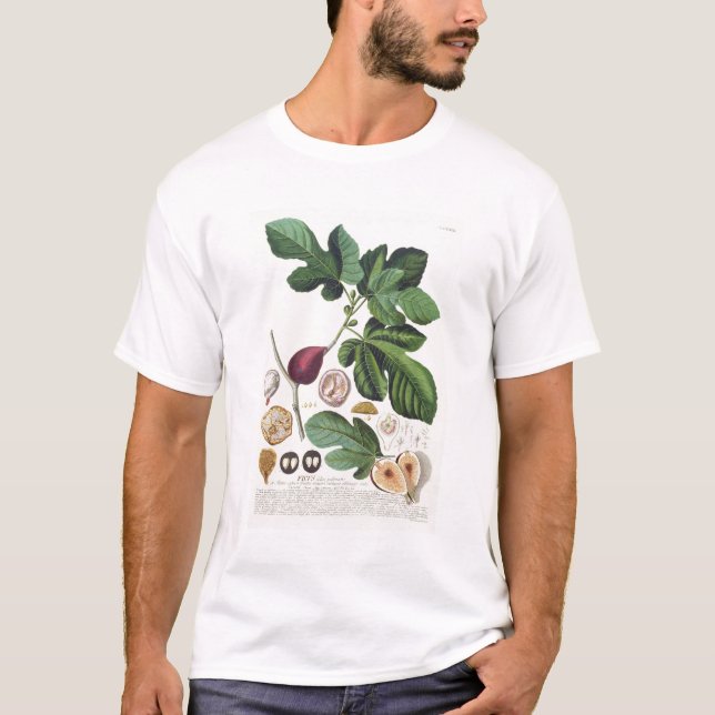 Fig, engraved by Johann Jakob Haid (1704-67) plate T-Shirt (Front)