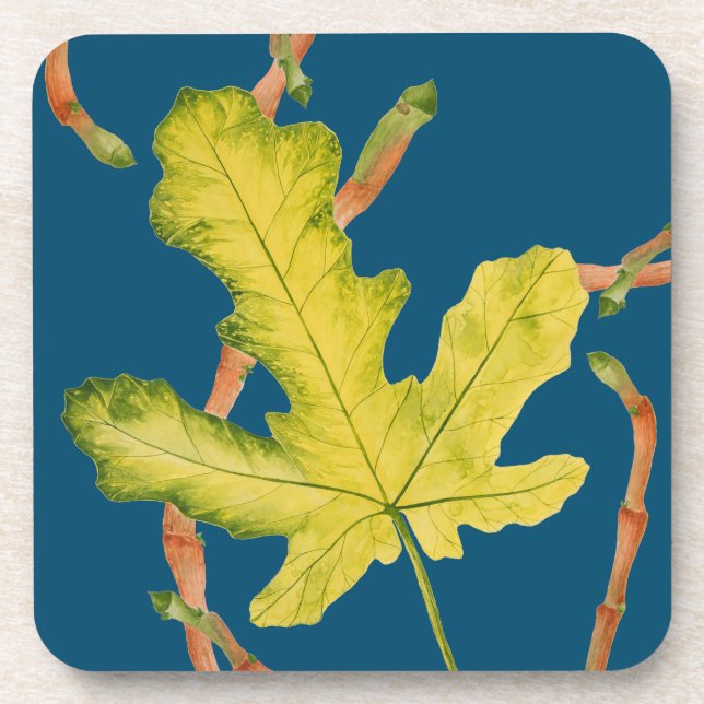 Fig Leaves on a Coasters Set of 6 (Front)