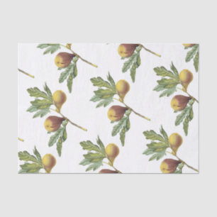 Fig Pattern Tissue Paper