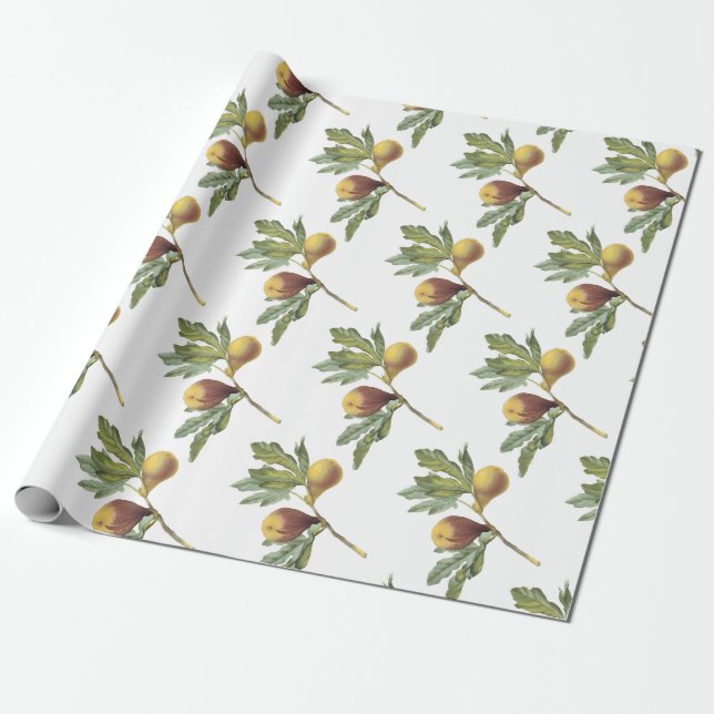 Fig Pattern Wrapping Paper (Unrolled)