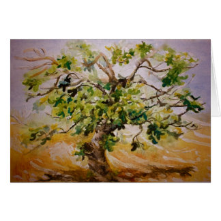 Fig Tree