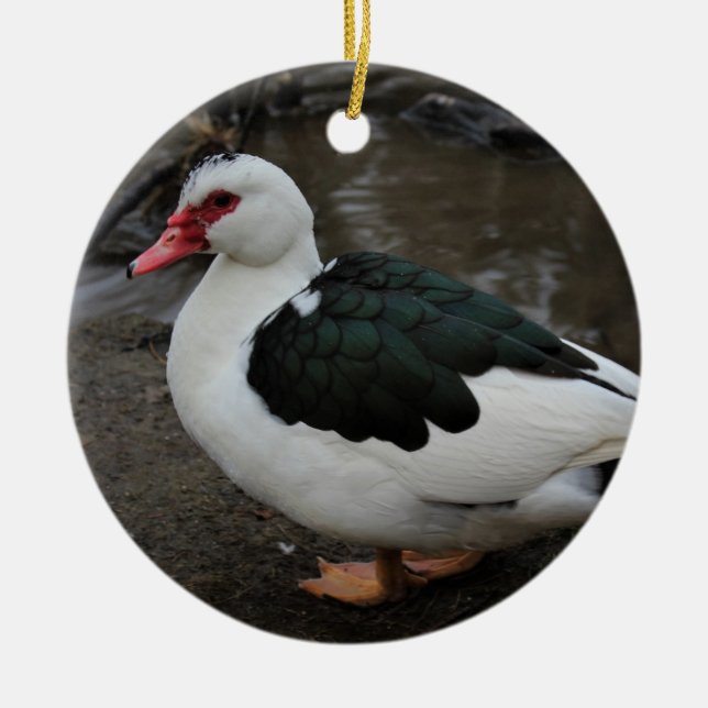 Figgy Ceramic Ornament (Front)