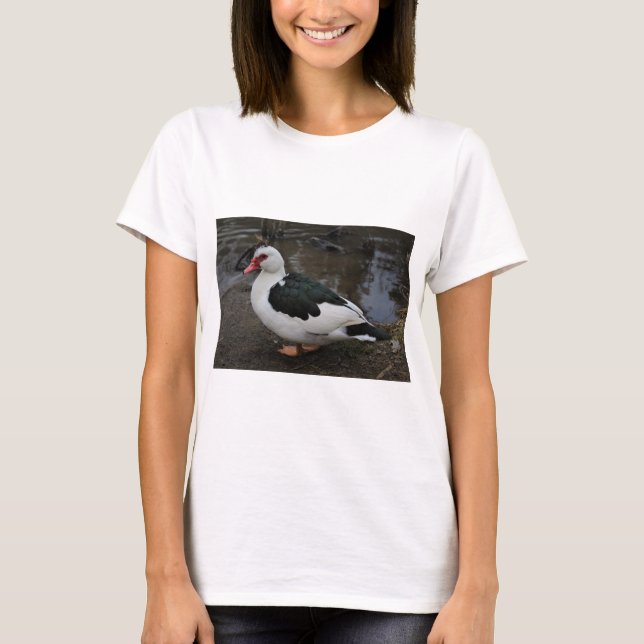 Figgy T-Shirt (Front)