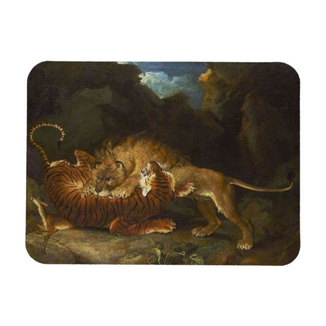 Fight Between a Lion and a Tiger Magnet (Horizontal)
