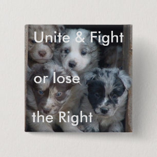 Fight for Right to Raise Dogs 2 Inch Square Button