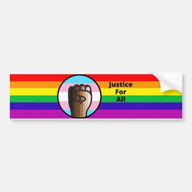 Fight Injustice Embrace Equality Bumper Sticker (Front)