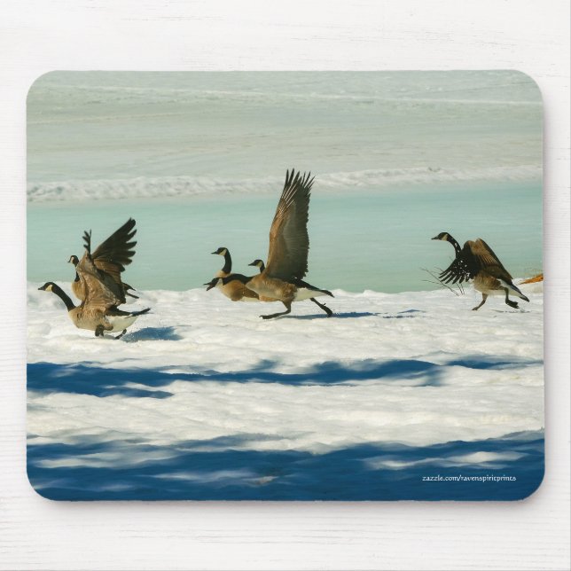 Fighting Canada Geese & Snow Wildlife Photo Mouse Pad (Front)
