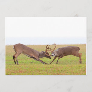 Fighting Deer Invitation