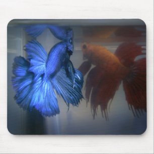 Fighting Fish Mouse Pad