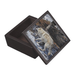 Fighting Grey Wolves Gift Box